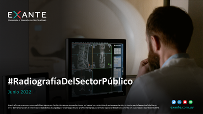 Radiografía del Sector Público